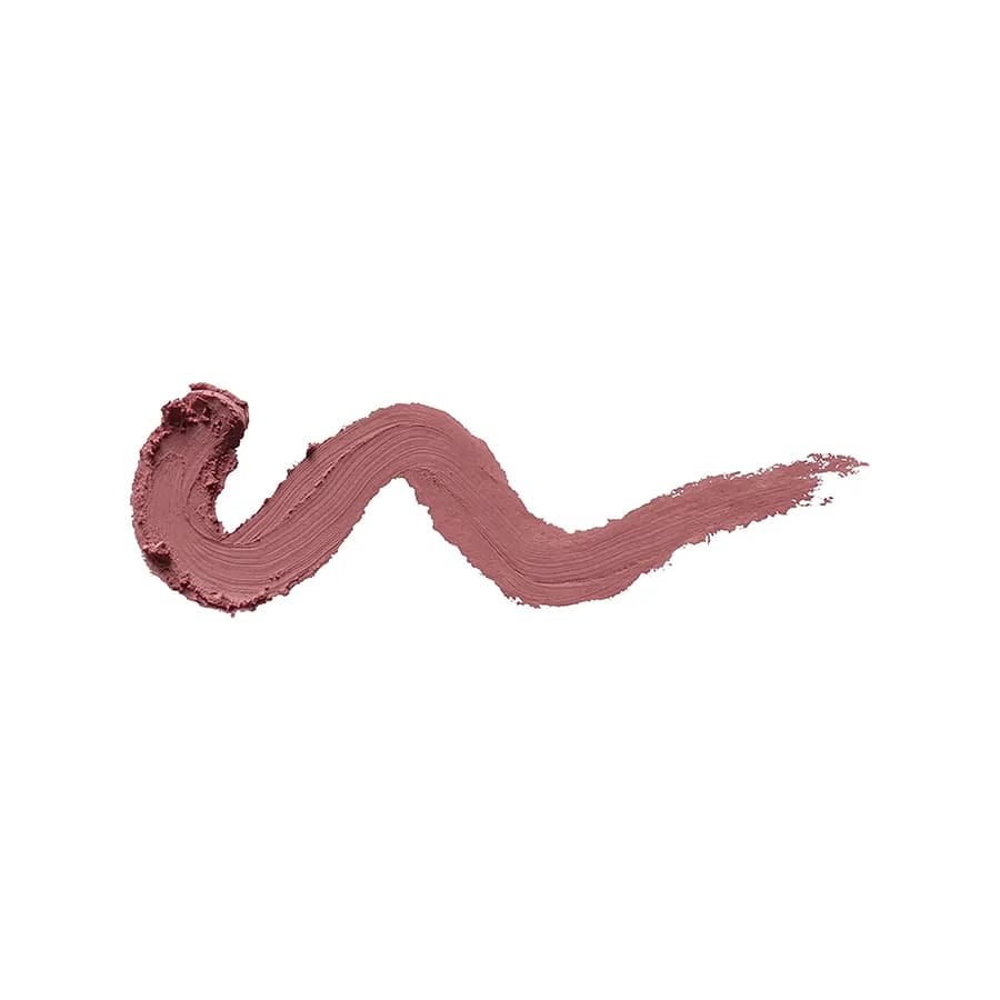 Kiko Creamy Colour Comfort Lip Liner 316 2