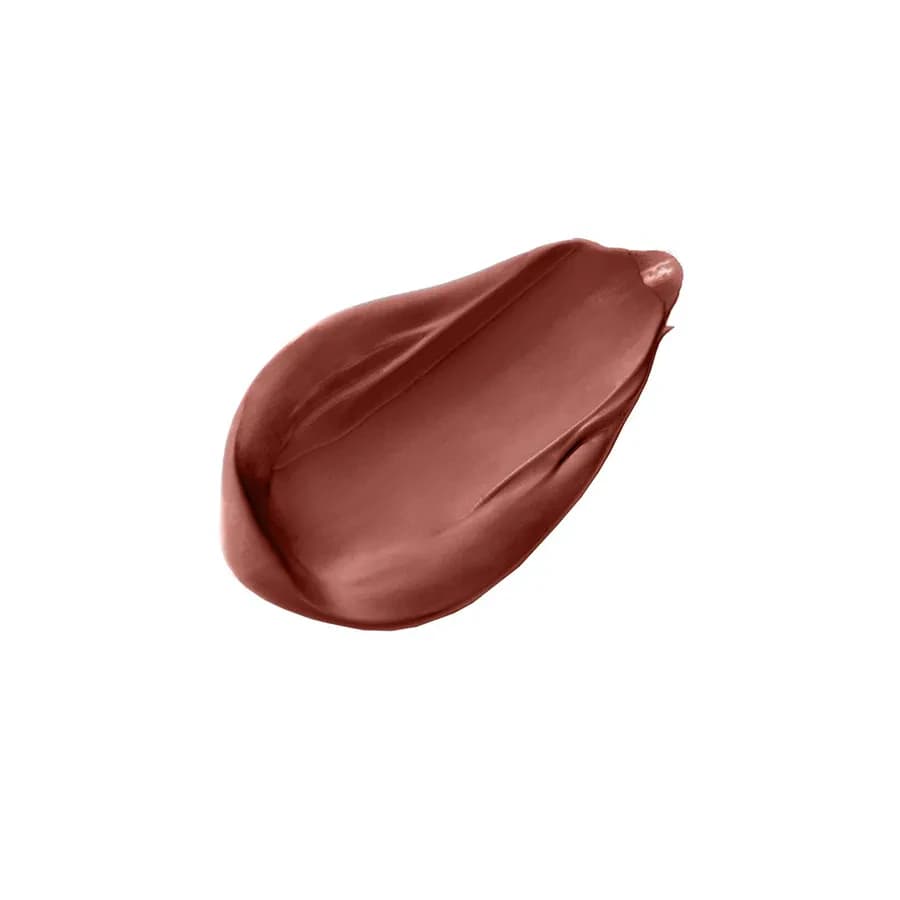Wet n Wild Mega Last Matte Lip Color Brown Red Cinnamon Spice 2