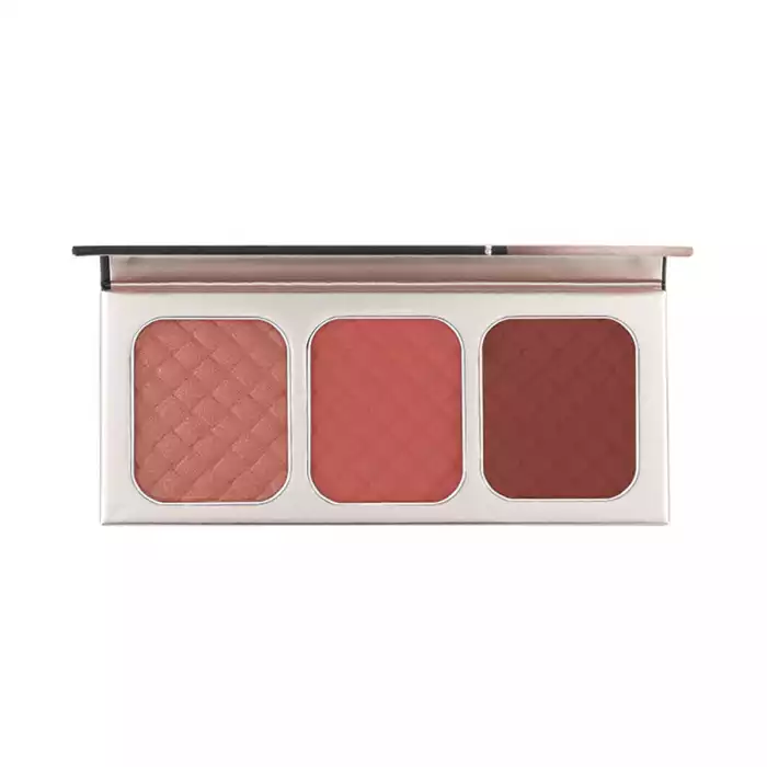 Character Artist Makeup Paris Go Blush 005 | فييلا بيوتي