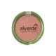 Alverde Powder Blush Pretty Terra 03 -Gives the complexion a fresh radiance -The powder blush pretty terra 03 from alverde Naturkosmetik gives your complexion a fresh, healthy radiance for a harmoniously rounded make-up | Veela Beauty Alverde Powder Blush Pretty Terra 03 | فييلا