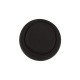 | Veela Beauty | Veela Beauty