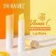 Dr Rashel Vitamin C Brightening And Moisturizing Lip Balm 3G
Vitamin C Brighten & Moisturize Lip Balm
Description:This Dr Rashel Vitamin C Brightening And Moisturizing Lip Balm 3G
Vitamin C Brighten & Moisturize Lip Balm
Description:This