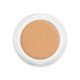 Kryolan Dermacolor Camouflage Creme Foundation D4 Light