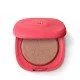 Ultra-pigmented blush with a radiant finish | فييلا