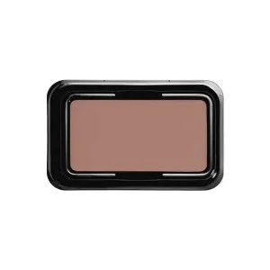 Make Up For Ever Artist Face Color Highlight 116