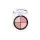 Contain 4 shades including a blusher. You can use it as a highlighter, bronzer, blusher, and contour your face. Contains natural moisture-locking factors and vitamin. | Veela Beauty Contain 4 shades including a blusher | فييلا