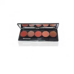 Office  Glanorus 5 Color Lip Palette D04 |Veela Beauty