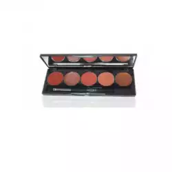 Office  Glanorus 5 Color Lip Palette D04 |Veela Beauty