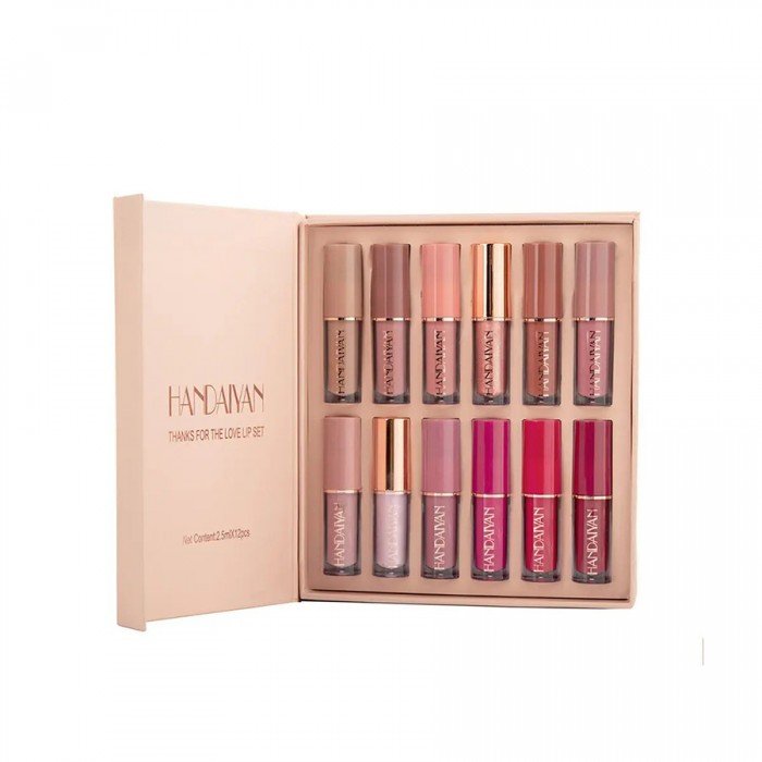 Shein Handaiyan Color Book Lipsticks set 12 pcs