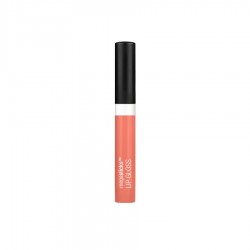 Wet N Wild MegaSlicks Lip Gloss E559 Great Coralation