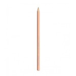 Wet N Wild Color Icon Kohl Eyeliner Pencil E607A Calling Your Buff