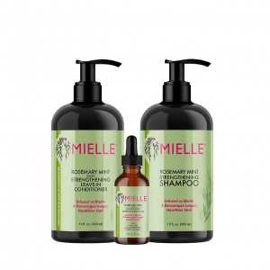Mielle Hair bundle (3pcs) Mielle Hair bundle (3pcs)
